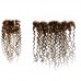 Water Wave #4/27 Highlight Virgin Human Hair 4x4 13x4 Transparent Lace Closure/Frontal